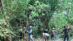 juventius-tongkang-bangun-jalan.jpg