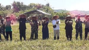 panen-bawang-di-Sumbar.jpg