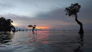 pantai-walakiri-kabupaten-sumba-timur.jpg