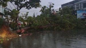 pohon-tumbang-akibat-hujan-angin-di-kendari.jpg