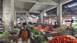 tomat-di-pasar.jpg