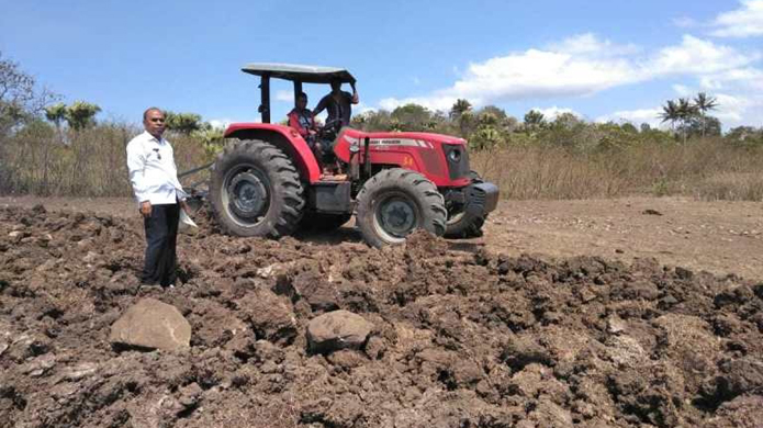 2.000 Hektare Lahan Kering di Malaka Sudah Diolah, Ini Penjelasan Kadis TPHP Yustinus Nahak
