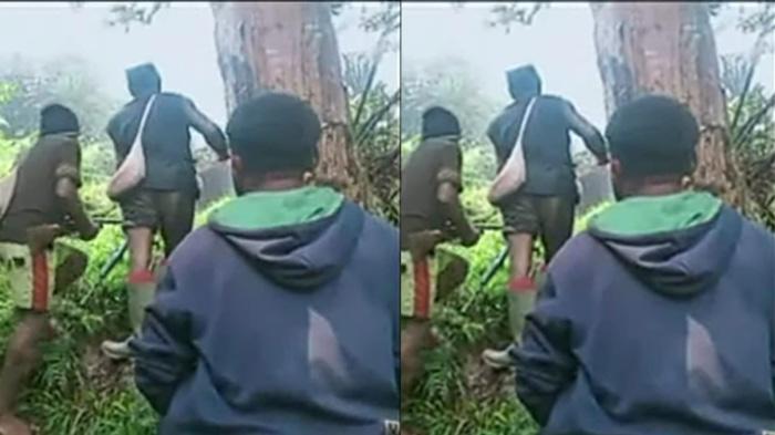 Nongol dari Balik Pepohonan & Masuk Kampung, Anggota KKB Papua Ini Tak Takut Ditembak TNI Polri