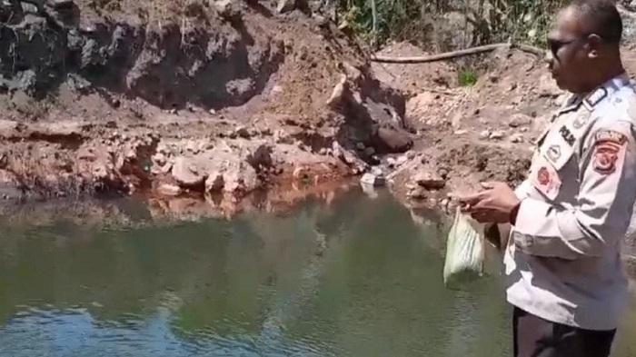 Jejak Bripka Yonas Magang Sauw Rintis Budidaya Ikan Nila di Lembata