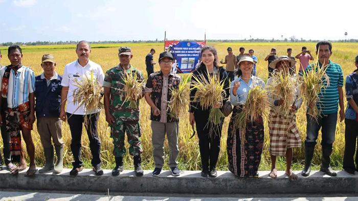 Sikapi Dampak El Nino, Pemkab Sumba Timur Fokus Maksimalkan Produksi Pangan