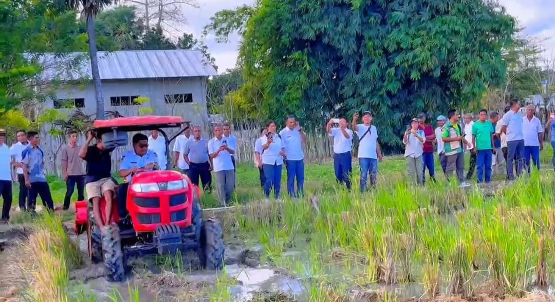 Pemkab Sumba Timur Dapat Alokasi Cetak Sawah Baru Seluas 935 Hektare dari Pemerintah Pusat - Pos-kupang.com