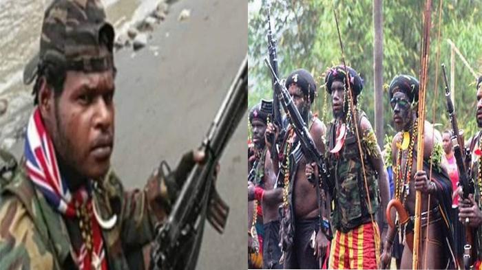 Termakan Doktrin Panglima Egianus Kogoya, Anggota KKB Papua Ini Langsung Bakar 16 Rumah Penduduk