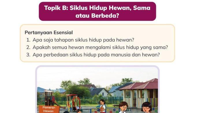Inilah-kunci-jawaban-Ilmu-Pengetahuan-Alam-dan-Sosial.jpg