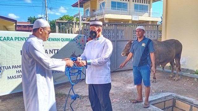Saat Idul Adha 1443 H, Kapolda NTT Sumbang Dua Ekor Sapi
