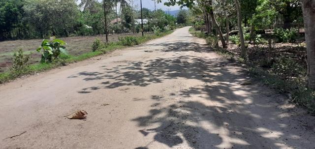 Masyarakat Kerobo Desak Pemerintah Segera Perbaiki Jalan Raya Menuju Kantor KPU Sumba Barat Daya