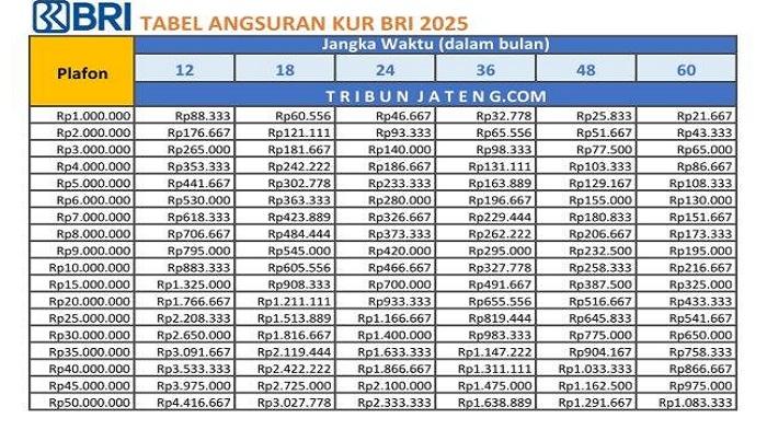 KUR-BRI-2025-Ada-Cicilan-di-Bawah-Rp-100-Ribu-Per-Bulan.jpg