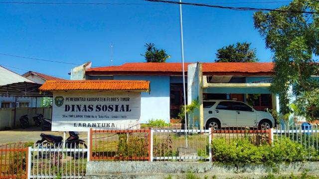 Respon Dinsos Flores Timur Soal ODGJ Tebas Warga Hingga Tewas