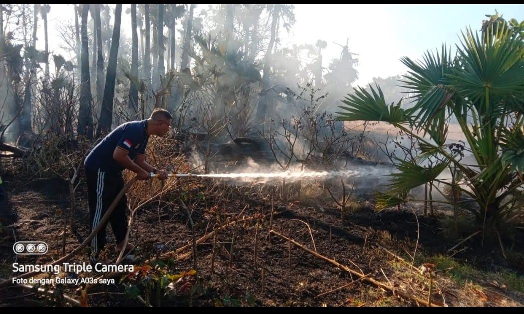 Tangani Lima Kasus Kebakaran Lahan dan Padang Wilayah Sumba Timur, Ini Imbauan Kapolsek Pandawai