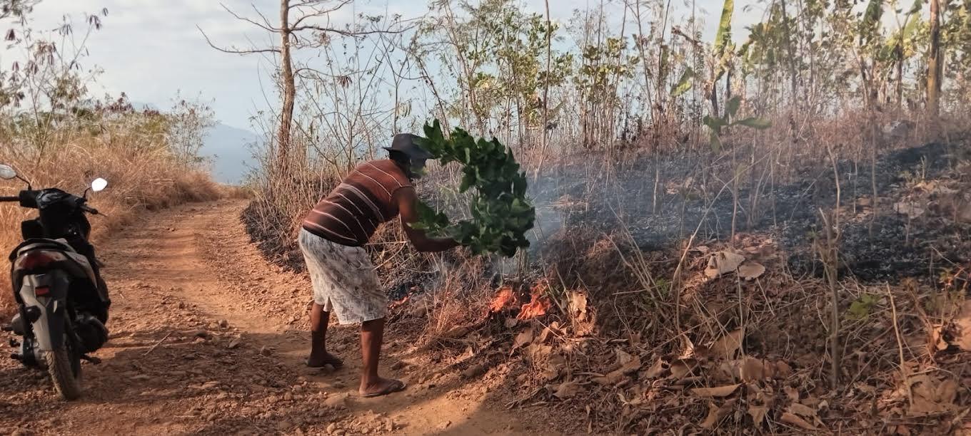 Ramalan Cuaca NTT Hari ini 15 Juni 2024 Waspada, BMKG Sebut NTT Rawan Kebakaran Hutan dan Lahan