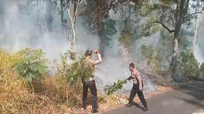 Kebakaran-hutan-lindung-Egon-Ilinmedo-di-Desa-Egon-Buluk-Kecamatan-Waigete.jpg