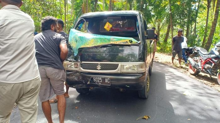 Kecelakaan Maut di Flores Timur, Pengendara Honda Beat Diduga Lalai hingga Tabrak Pikap