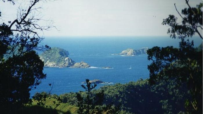 Gempa Selandia Baru Magnitudo 7,3, Warga Disuruh Segera Lari ke Dataran Tinggi