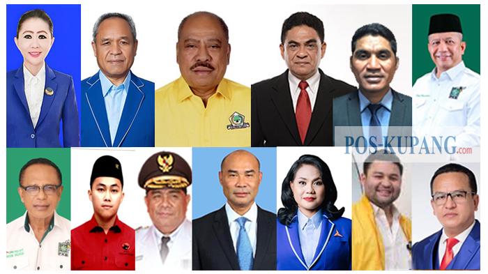 Paradoks Anggota DPR RI dari Dua Dapil di NTT, Dapil Pemain Lama versus Dapil Pendatang Baru