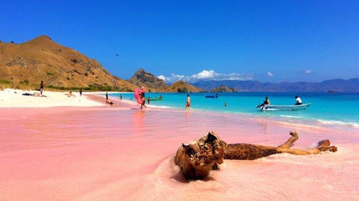 Wisata Labuan Bajo, Harga Tiket Pesawat di Akhir Bulan Kupang - Kota Labuan Bajo, Ada 4 Penerbangan