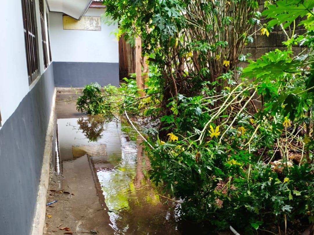 Luapan-air-dari-area-rumah-potong-hewan-RPH-Oeba-kembali-merembes.jpg