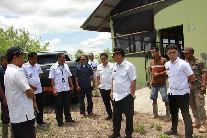 Bupati Yohanis Tinjau Pusat Pengembangan Ternak Babi di Tanah Righu Sumba Barat
