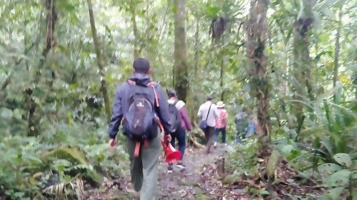 13 Pendaki Gunung Pangrango Jawa Barat Sudah Ditemukan, Tim SAR Sedang Evakuasi