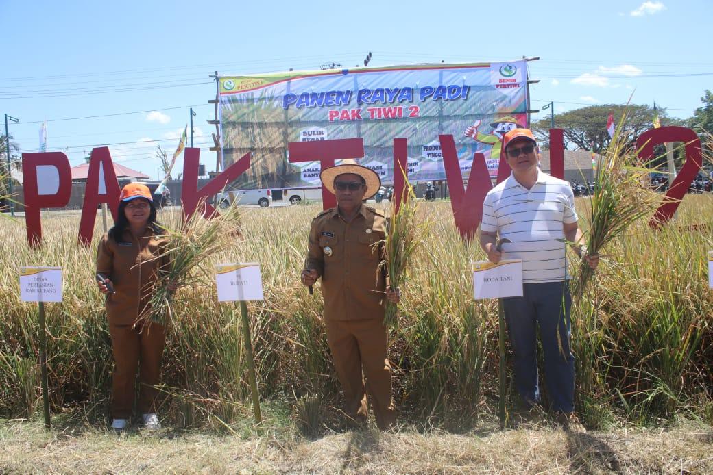Panen-padi-Pak-Tiwi-2-di-lahan-percontohan-milik-Roda-Tani.jpg
