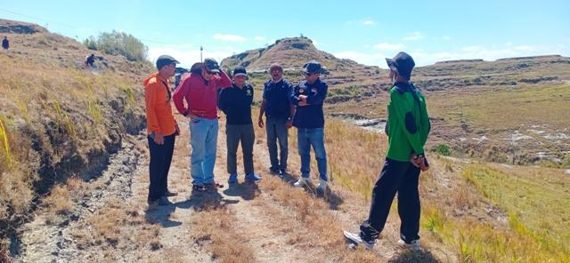 Pengendalian Belalang Kembara di Sumba Timur Capai 25 Titik