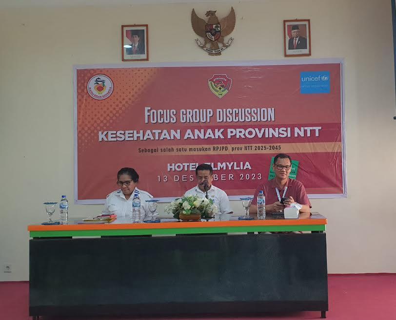 Pemerintah-Provinsi-NTT-Bappelitbangda-bersama-Unicef-dan-IBI-NTT.jpg