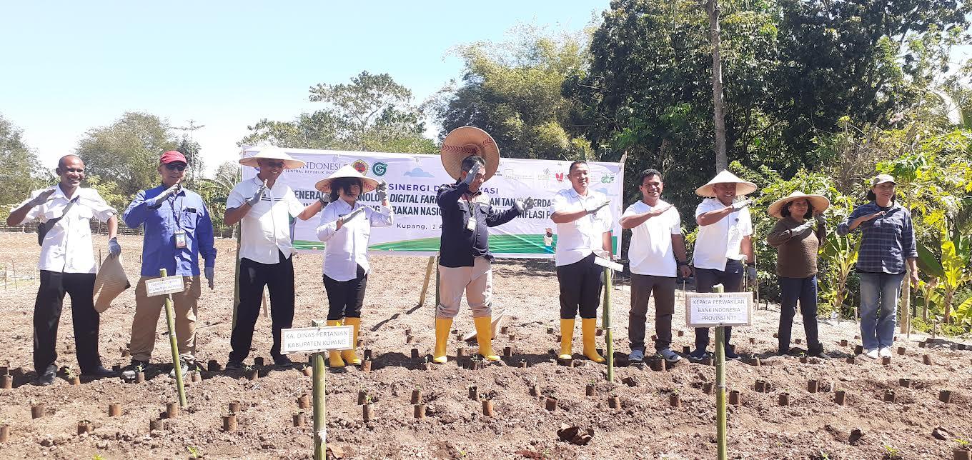 Kolaborasi Gesti Sino dan BI NTT Terapkan Konsep Digital Farming
