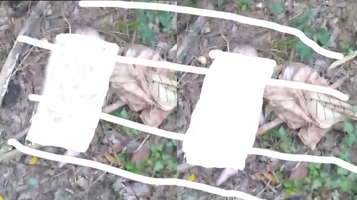 BREAKING NEWS: Penemuan Mayat Bayi di TTS, Leher Terjerat Tali, Usus Terburai