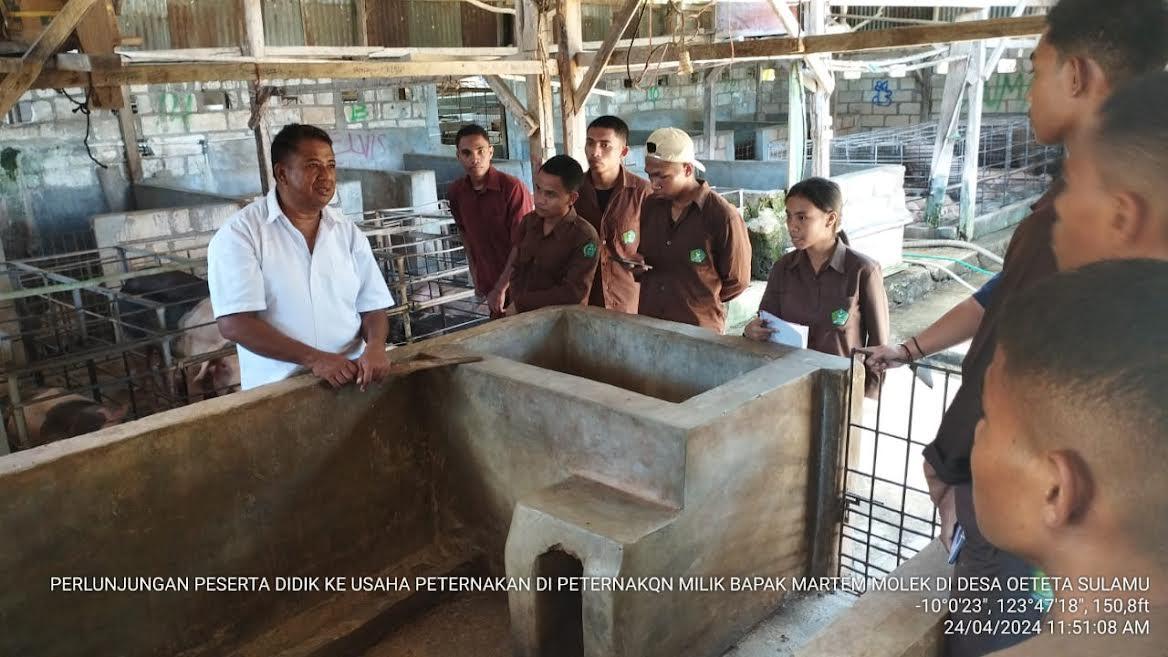 Tingkatkan Kompetensi Peserta Didik, SMKPP Kementan Kupang NTT Kunjungi Usaha Ternak Babi