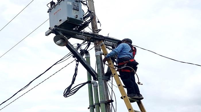 Petugas-PLN-Larantuka-sedang-memperbaiki-kabel-listrik.jpg