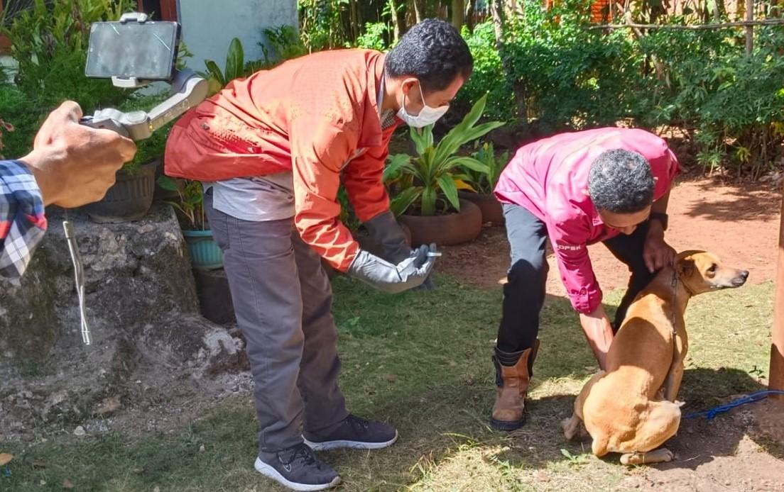 Petugas-Vaksin-Anjing-di-TTS.jpg
