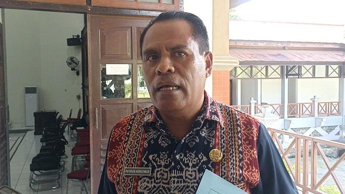 Plt-Kepala-Dinas-Kesehatan-Kabupaten-Sikka-Petrus-Herlemus-Kamis-10-April-2025.jpg