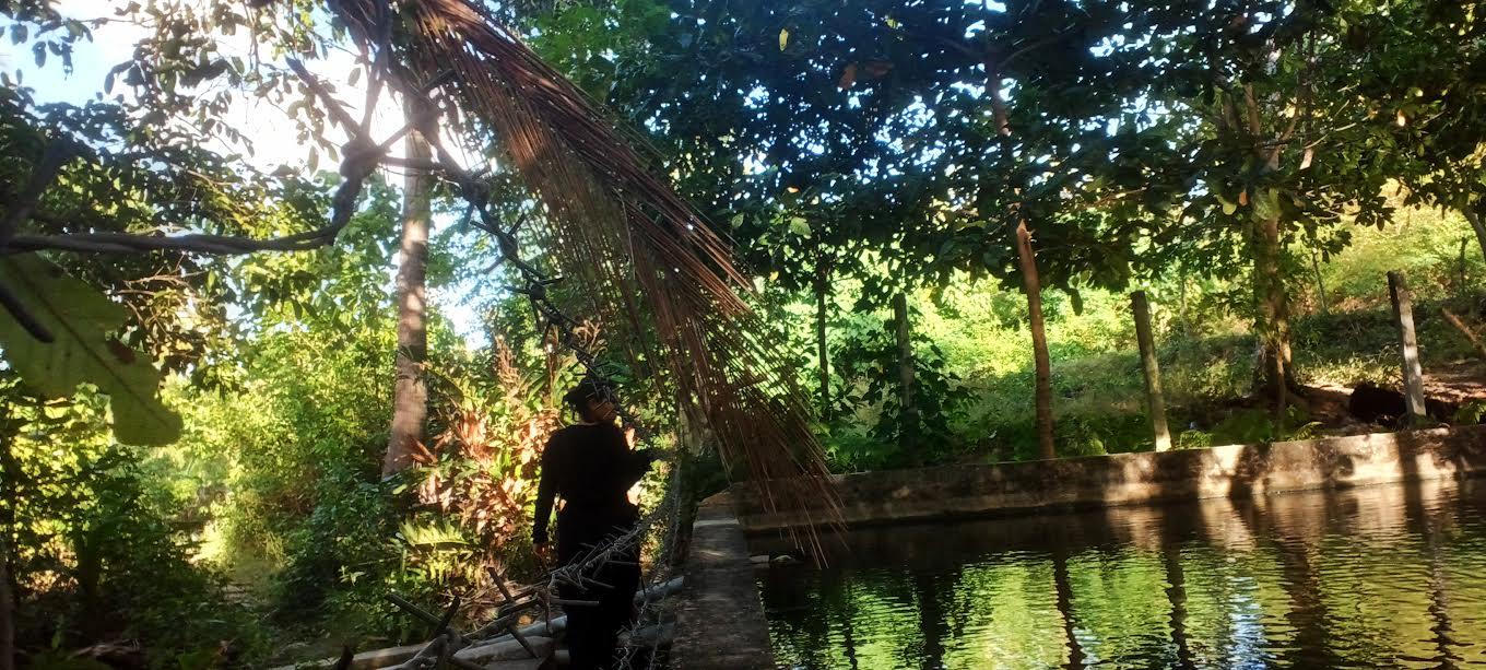 BUMDes Desa Menia Sabu Raijua Tekankan Sektor Pariwisata dan Ekonomi Keluarga