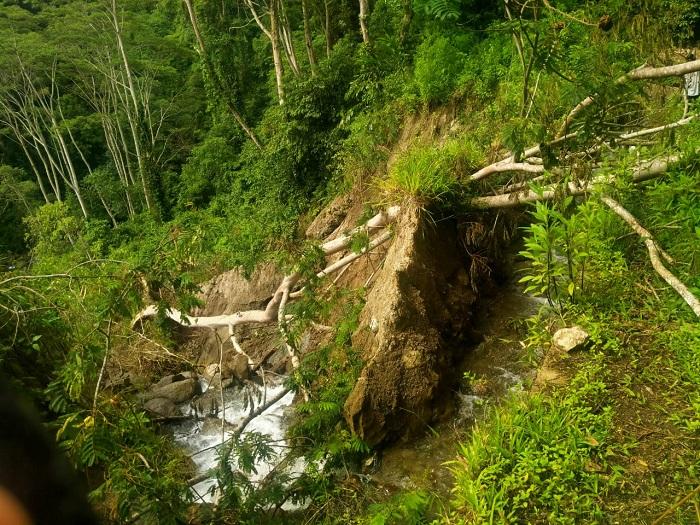 Saluran Irigasi Wae Dangi Ranamese Manggarai Timur Tertimbun Material Petani Kesulitan 