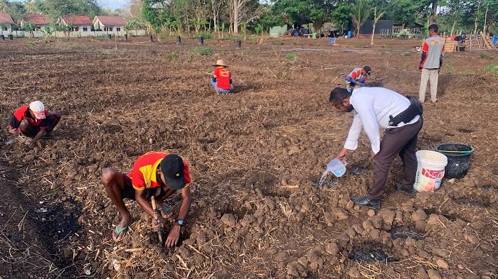 WBP Lapas Atambua Tanam Semangka untuk Bekal Hidup Baru