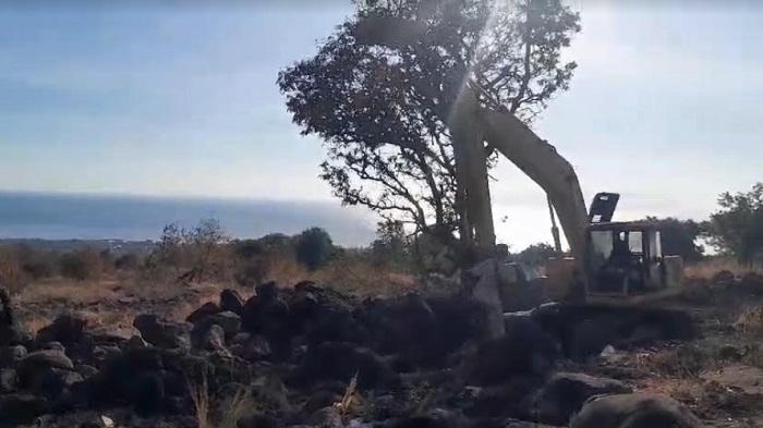 Gunakan Uang Pribadi, Petani di Sikka Sewa Alat Berat untuk Buka Jalan Tani Menuju Kebunnya