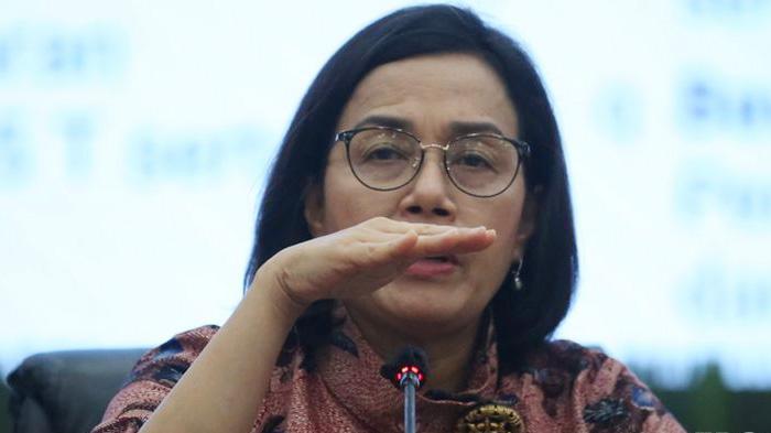 Sri-Mulyani-Indrawati-menkeu_0522.jpg