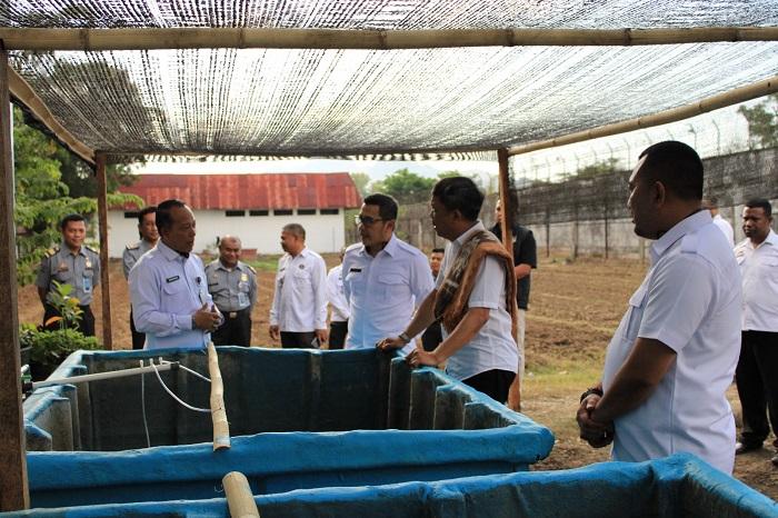 Program Budidaya Lele Dorong Kemandirian Warga Binaan di Lapas Atambua Belu