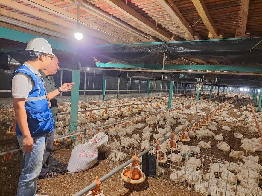 Pemerintah Tetapkan Tarif Listrik Tidak Naik, PLN Siap Beri Pelayanan Optimal