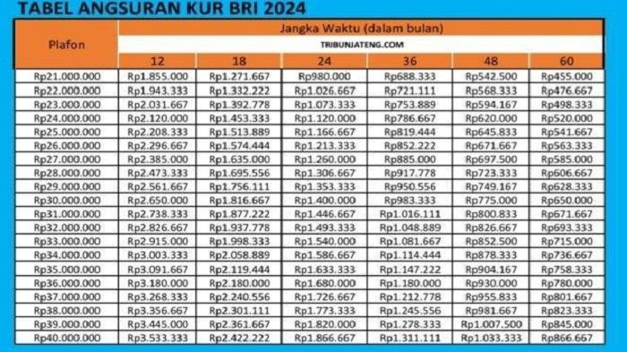 Tabel-KUR-BRI-2024-Khusus-untuk-Cicilan-di-Bawah-Rp-1-Juta-Per-Bulan.jpg