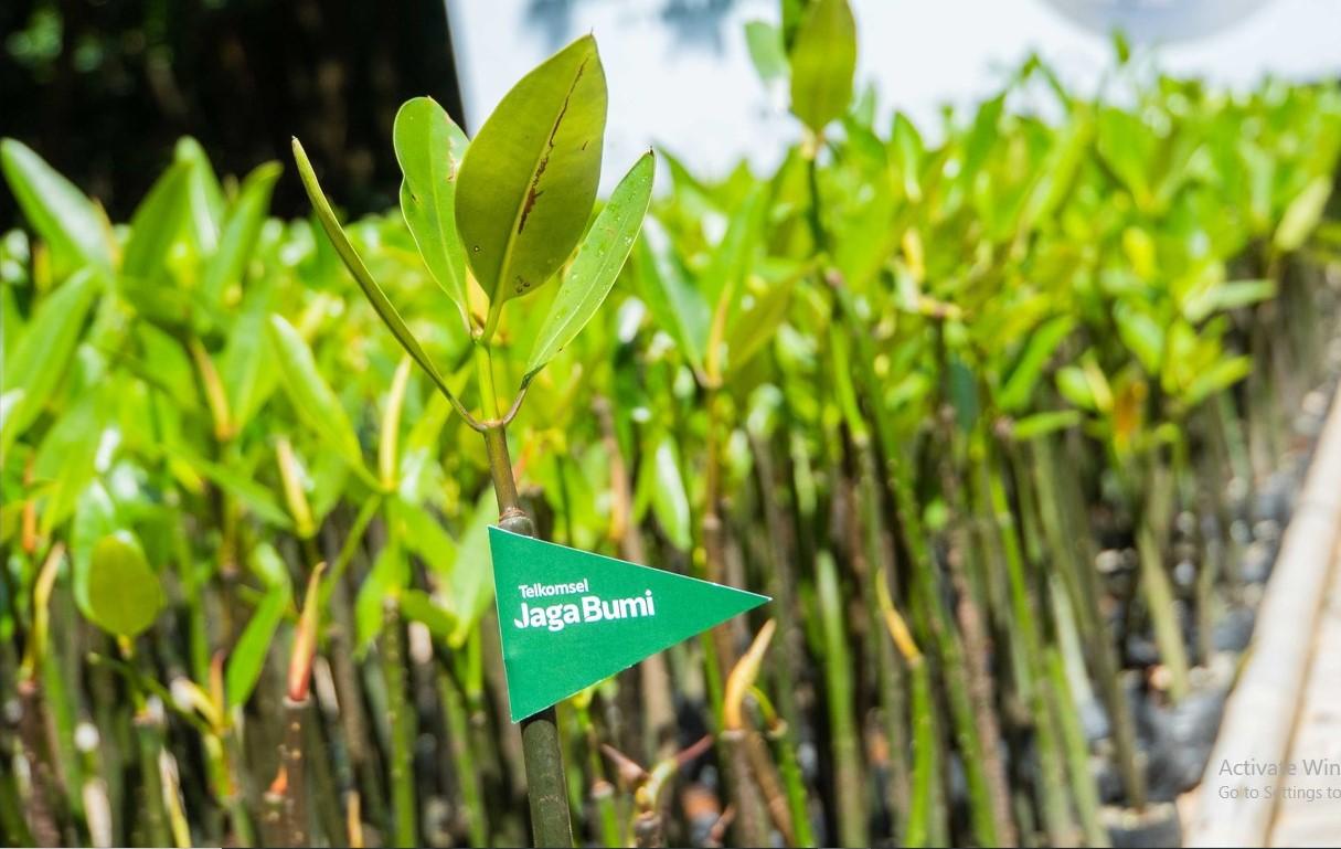 Telkomsel Jaga Bumi, Luncurkan Program Carbon Offset