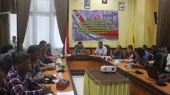 Wakil-Bupati-Kupang-Jerry-Manafe-rapat-koordinasi-tim-percepatan-penurunan-stuntin.jpg