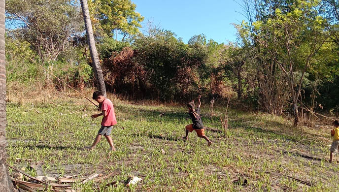 Anak-anak Mbatakapidu Sumba Timur Mengusir Belalang