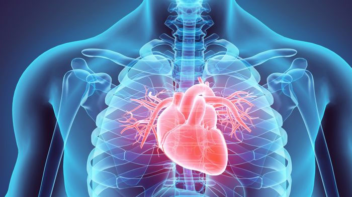 Jangan Anggap Remeh Deretan Gejala Penyakit Jantung Ini, Tersedak, Batuk hingga Nyeri Sampai Lengan