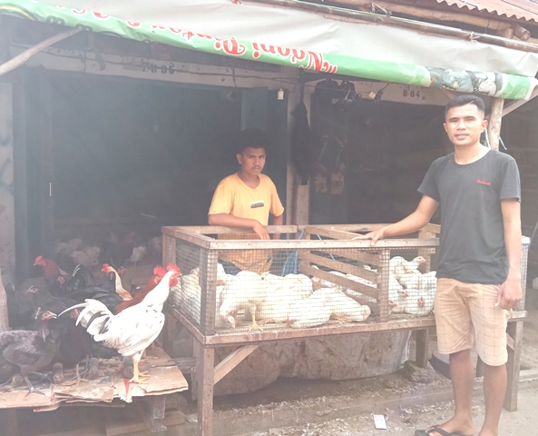 ayam-dance-kotasalah-satu-penjual-ayam-di-pasar-inpres-na.jpg