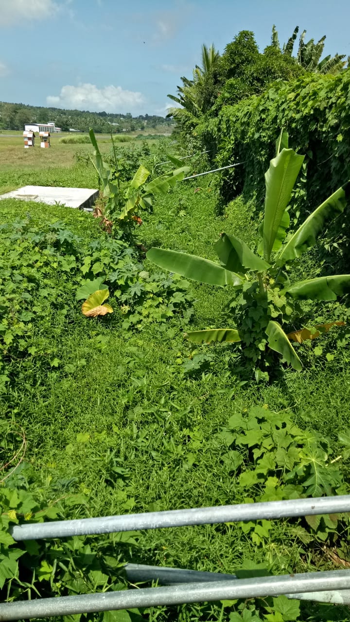 Tolak Perhitungan Tim Appraisal Warga Diminta Gunakan Konsultan Independen