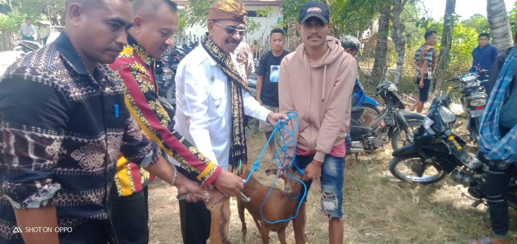 Bupati Sabu Raijua Beri Bantuan 81 Ternak Bagi Masyarakat Desa Molie